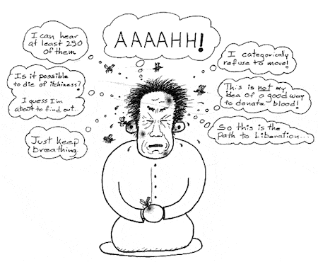 Meditation Cartoon