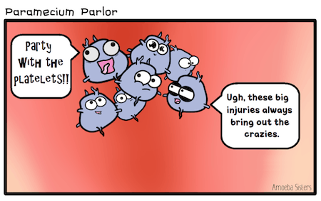 Platelets Cartoon