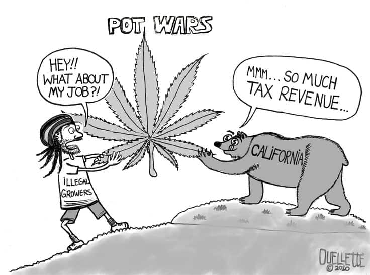Pot Wars Cartoon