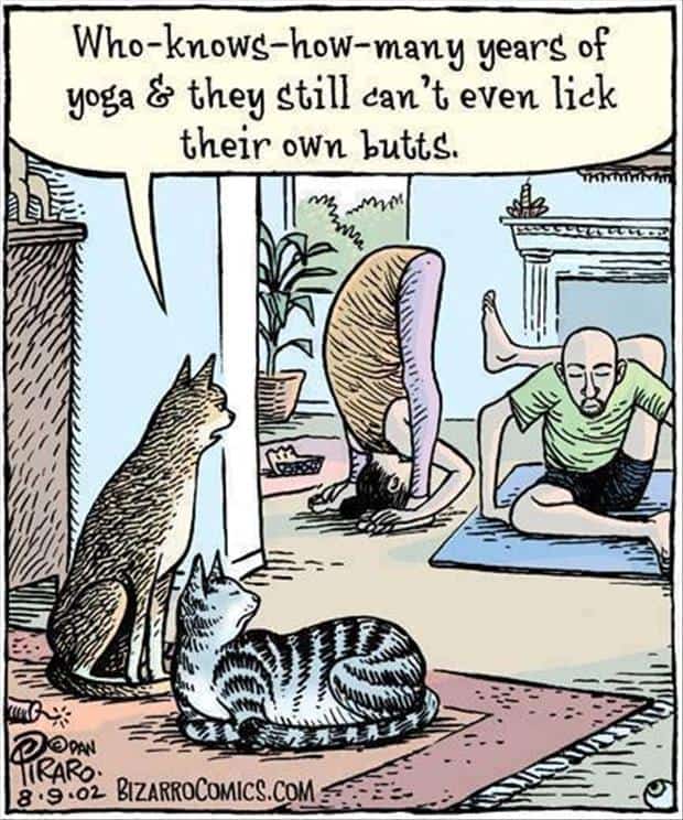 Yoga Funny Cartoon