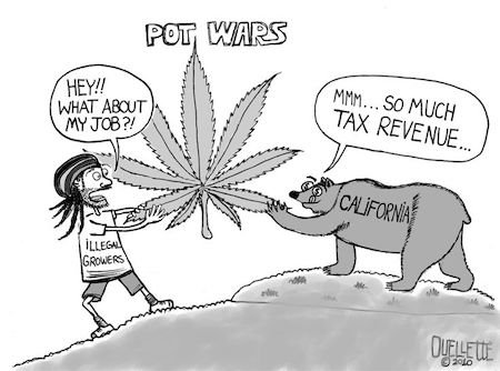 Pot Wars Funny Cartoon