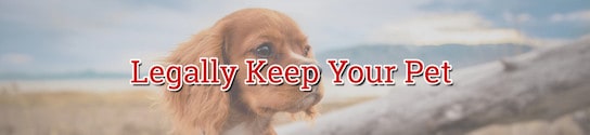 Legally Keep Your Pet