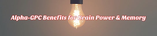 Alpha GPC for Brain Power Memory