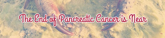 Pancreatic Cancer Header