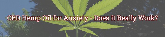 CBD Hemp Oil for Anxiety