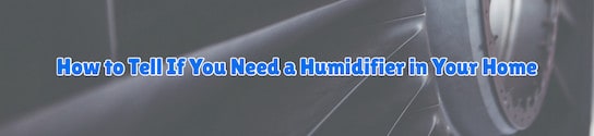 Humidifier in Your Home