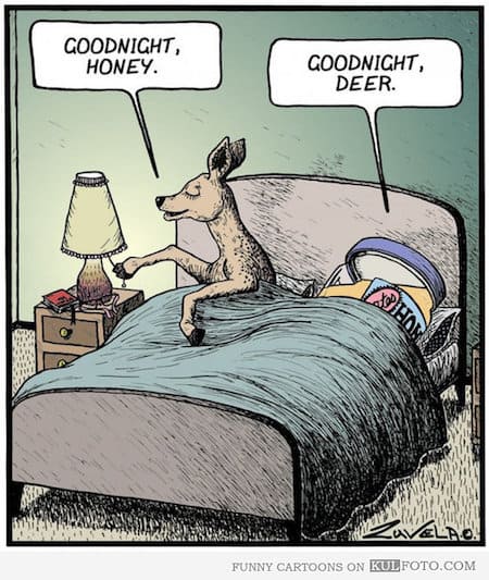Great Night Sleep Funny Cartoon