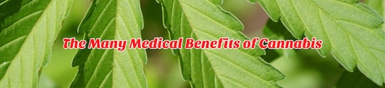 Medical Benefits of Cannabis