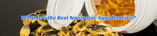 The Best Nootropic Supplements Header