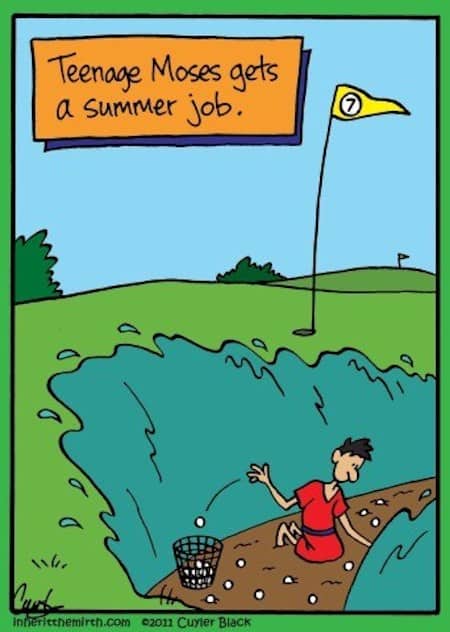 Summer Job Funny Cartoon