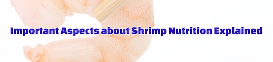 Important Aspects about Shrimp Nutrition Explained