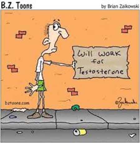 Funny Testosterone Cartoon