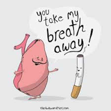 Funny Smoking Cartoon