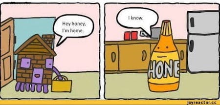 Funny Honey Cartoon