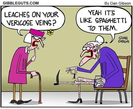 Funny Spider Veins Cartoon