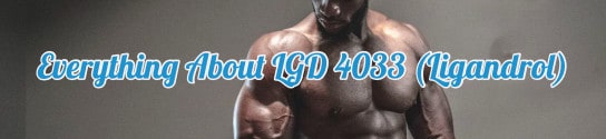 Everything There Is To Know About LGD 4033 (Ligandrol)