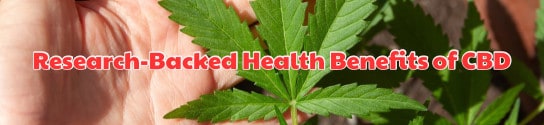 Research-Backed Health Benefits of CBD