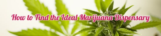 Tips on How to Find the Ideal Marijuana Dispensary
