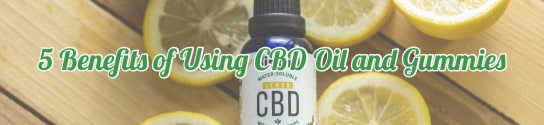 5 Benefits of Using CBD Oil and Gummies