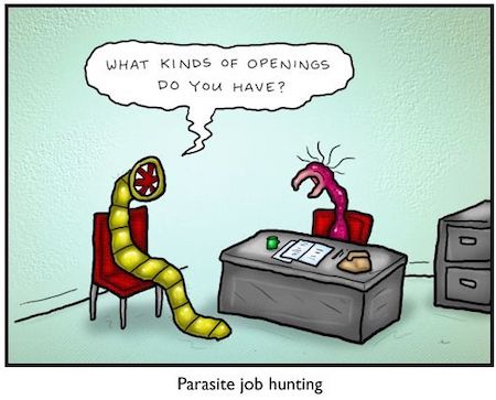 Funny Parasite Job Hunting Cartoon