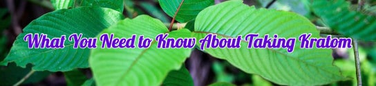 This Is What You Need to Know About Taking Kratom