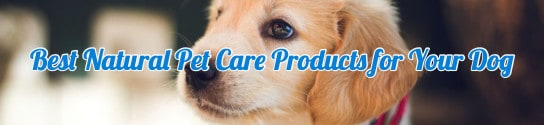 Best Natural Pet Care Products for Your Dog