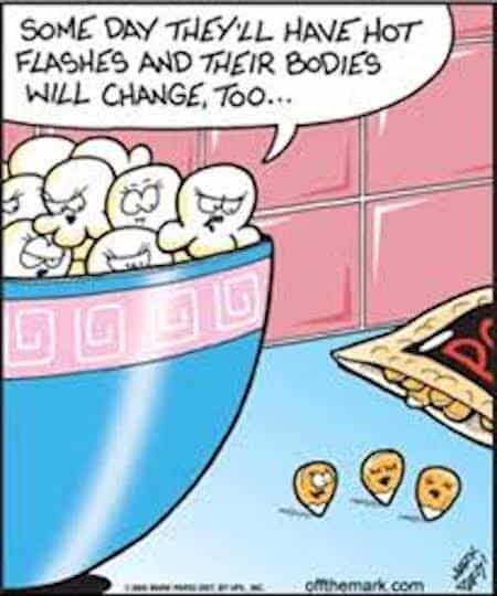 Funny Hot Flashes Cartoon