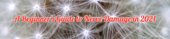 A Beginner’s Guide to Nerve Damage in 2021