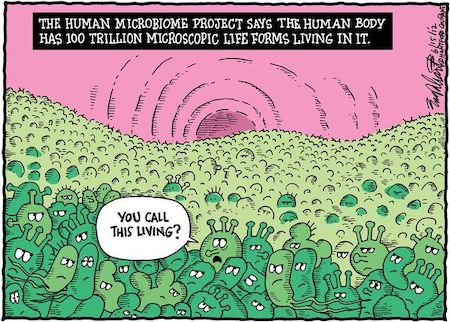 Funny Human Microbiome Cartoon