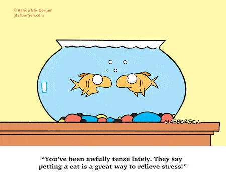 Funny Stressed Fishes Cartoon