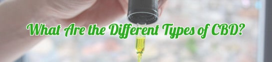 What Are the Different Types of CBD?