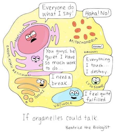 Funny Cell Study Cartoon