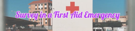 Primary and Secondary Survey in a First Aid Emergency