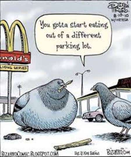 Funny Diet Cartoon