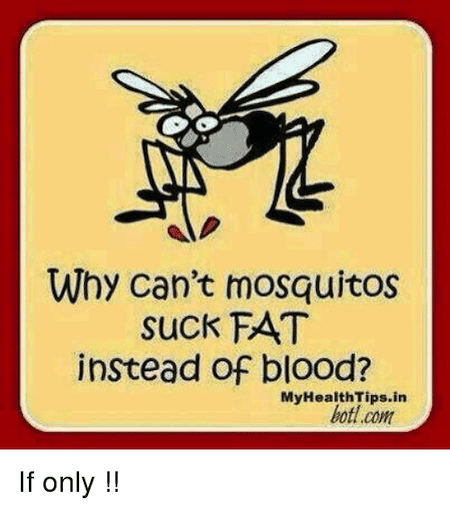 Funny Healthy Mosquito Tips